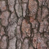 Seamless Bark 0021